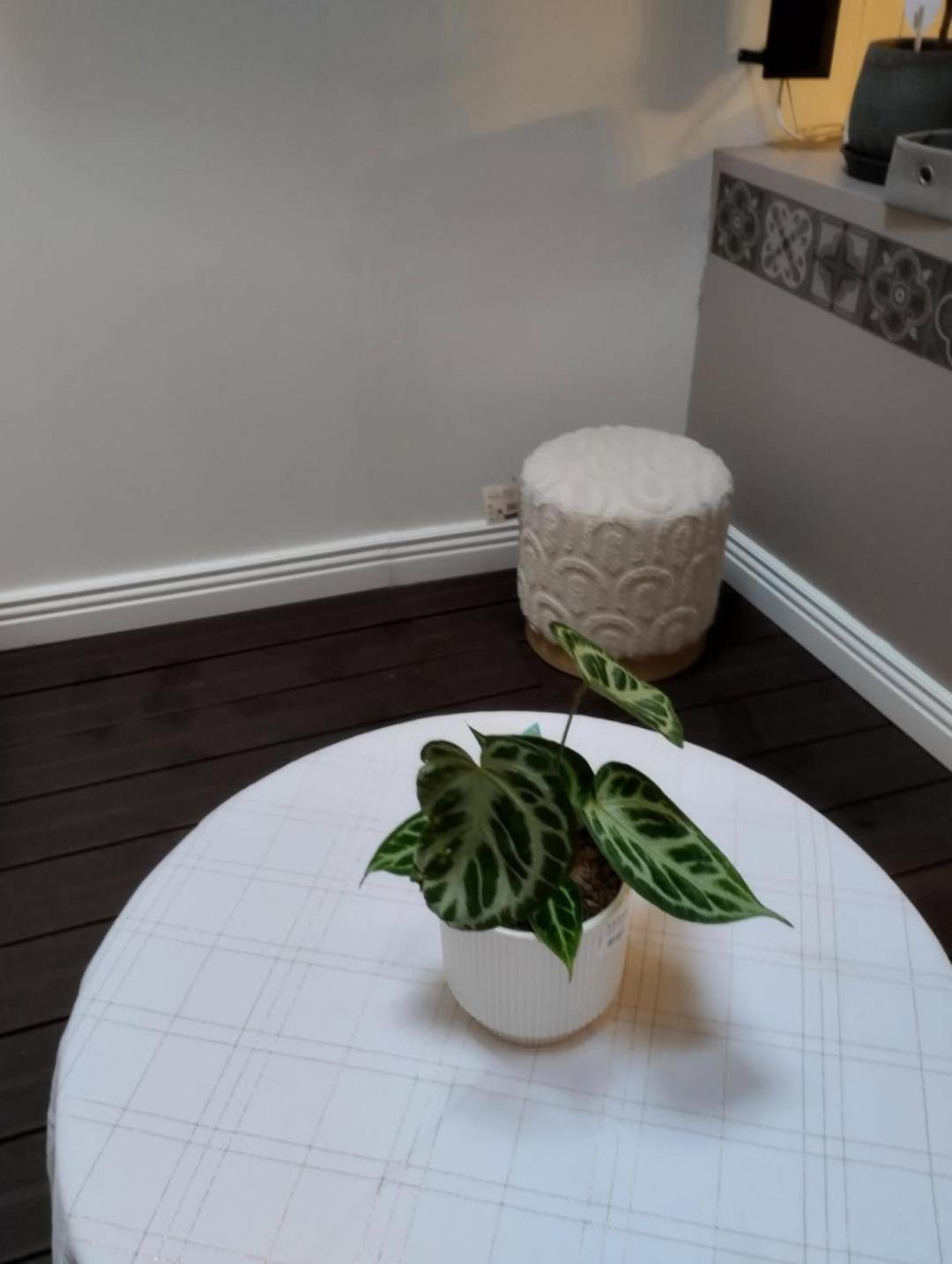 Ideal Vieille Ville De Boulogne La Boulonnaise ! 외부 사진