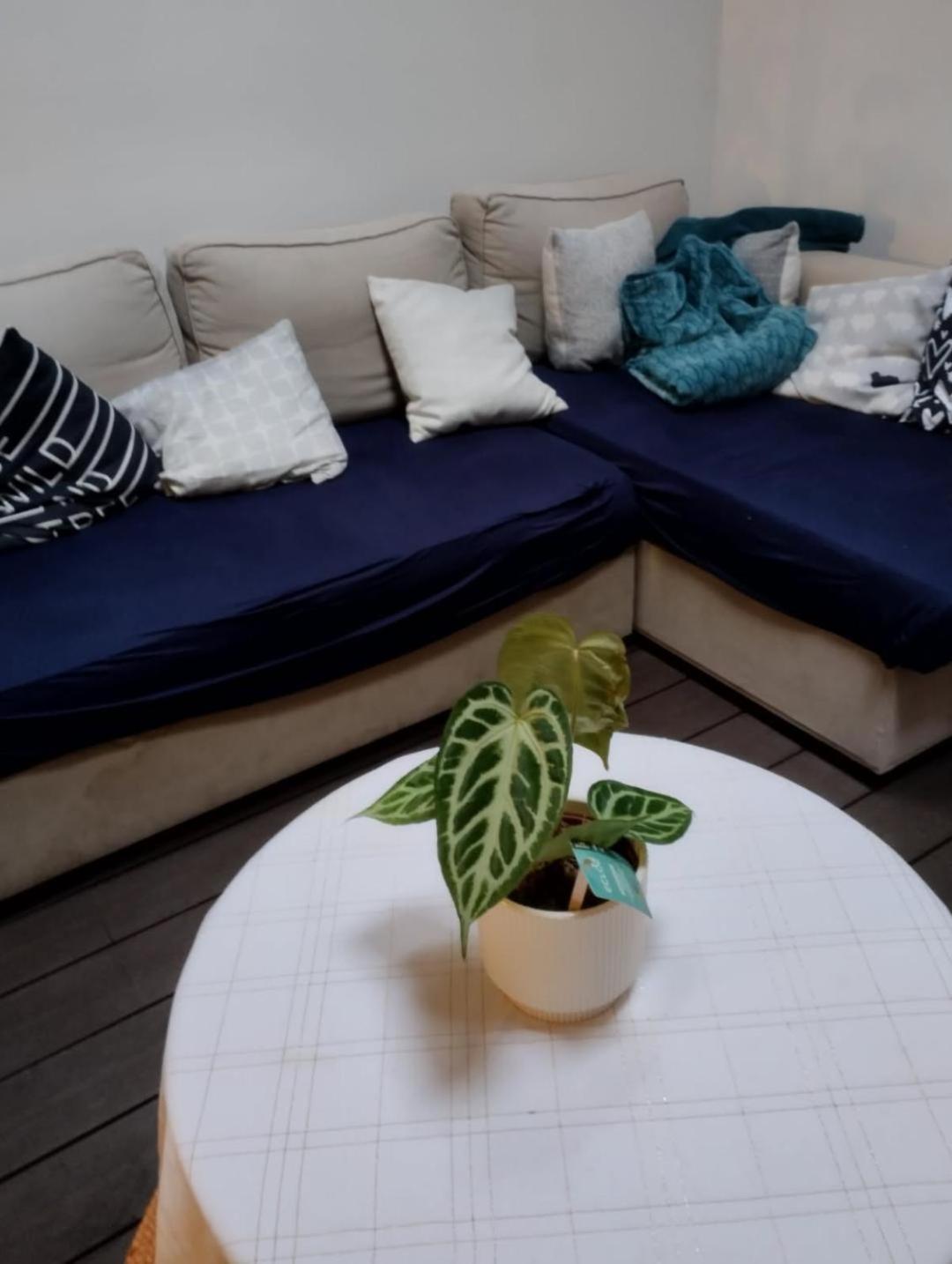 Ideal Vieille Ville De Boulogne La Boulonnaise ! 외부 사진
